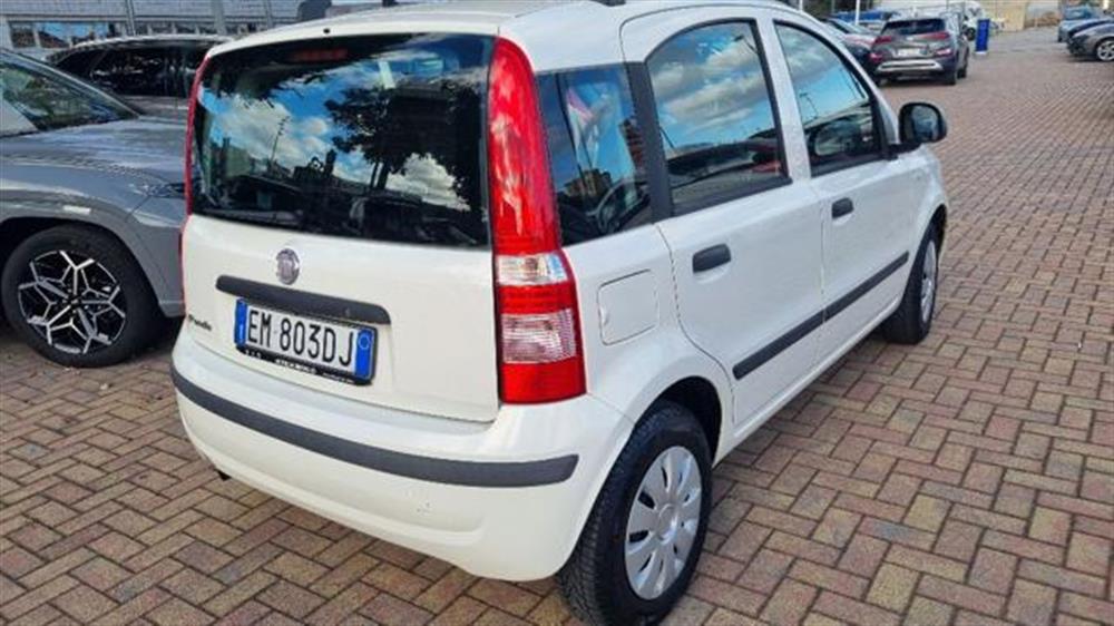 Panda   Panda 1.2 Dynamic