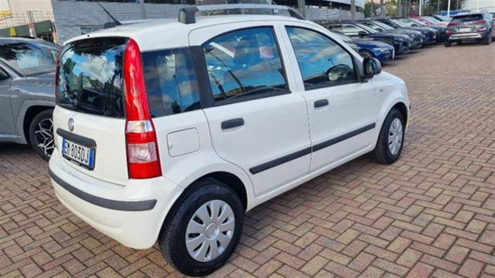 Panda   Panda 1.2 Dynamic