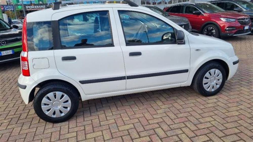 Panda   Panda 1.2 Dynamic