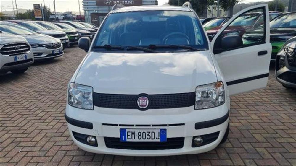 Panda   Panda 1.2 Dynamic