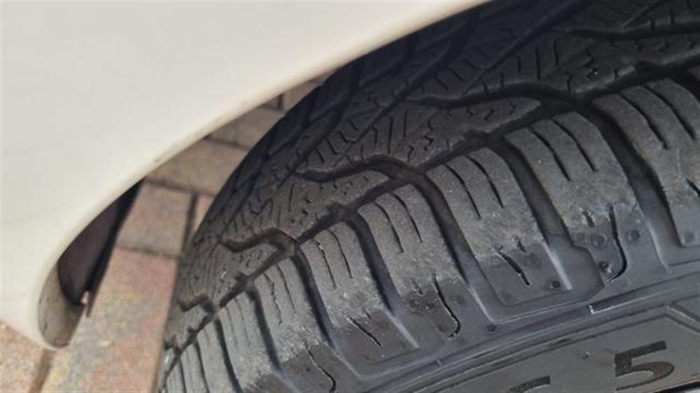 Panda   Panda 1.2 Dynamic