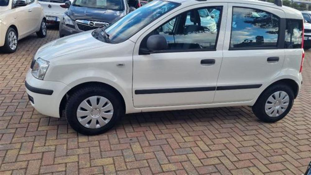 Panda   Panda 1.2 Dynamic