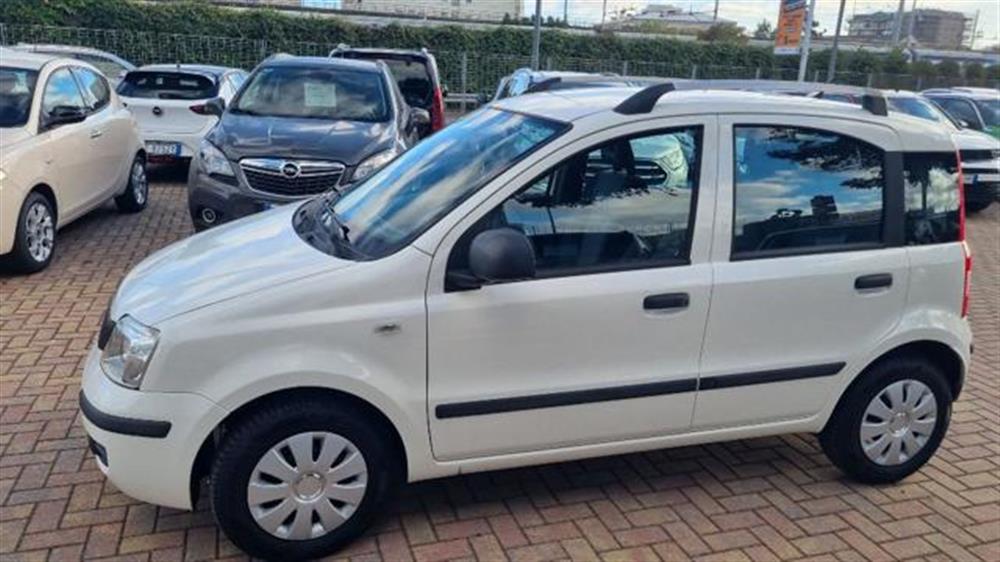 Panda   Panda 1.2 Dynamic