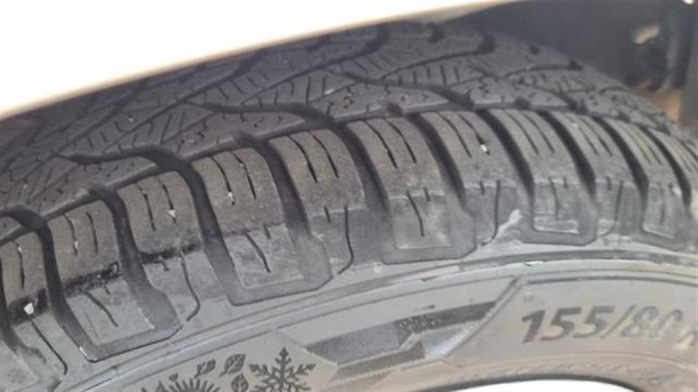 Panda   Panda 1.2 Dynamic