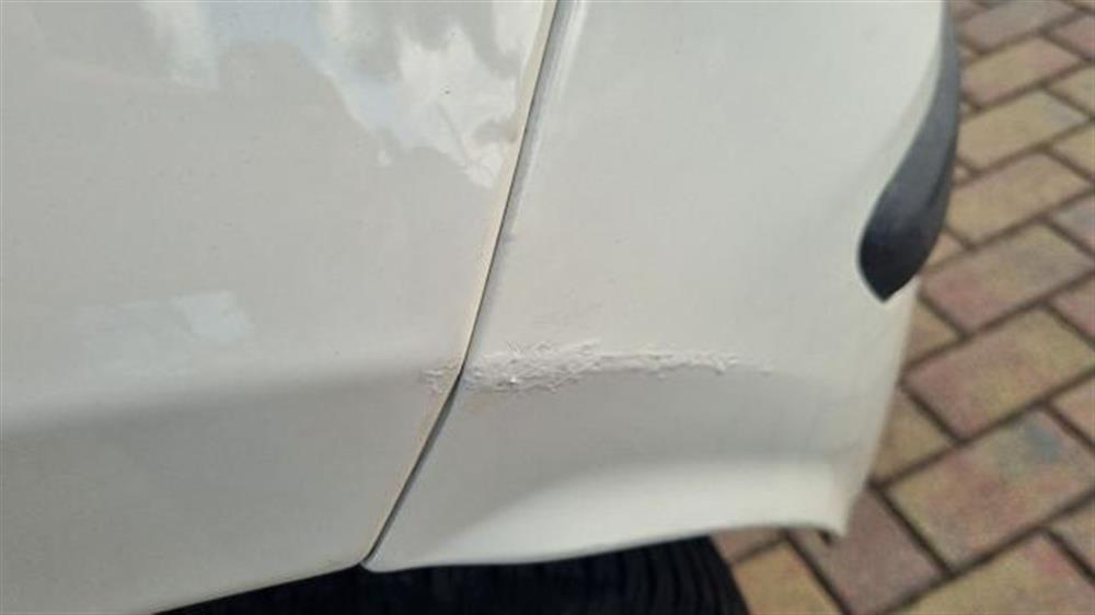 Panda   Panda 1.2 Dynamic