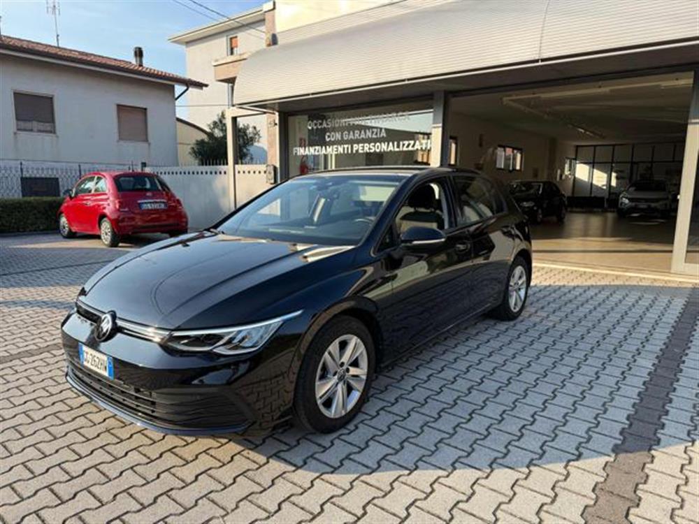 Golf   Golf 1.5 eTSI Evo Live 13