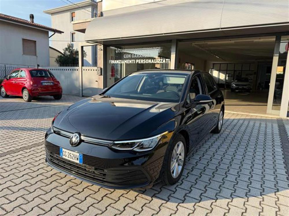 Golf   Golf 1.5 eTSI Evo Live 13