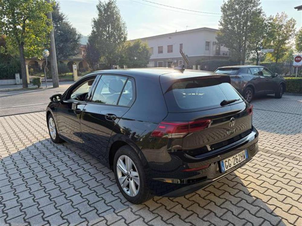 Golf   Golf 1.5 eTSI Evo Live 13