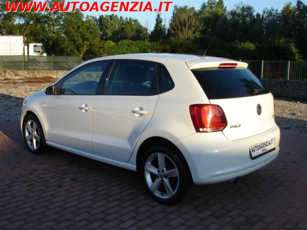 Polo   Polo 1.6 TDI 90CV 5 porte