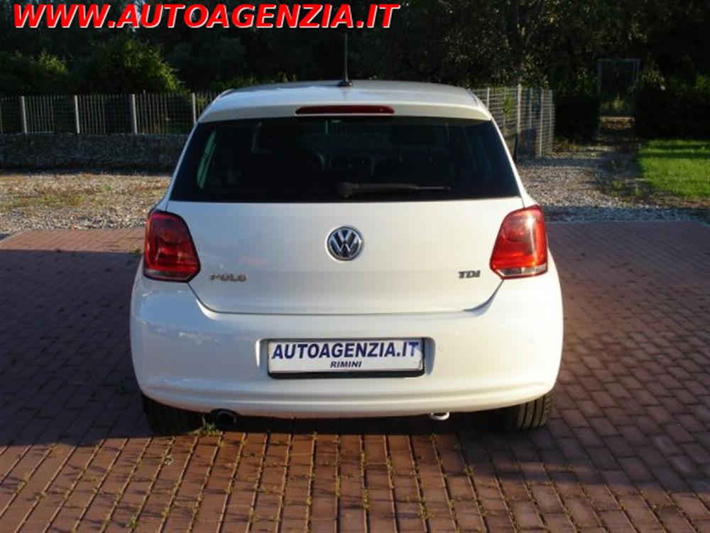 Polo   Polo 1.6 TDI 90CV 5 porte