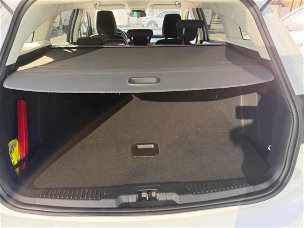 Focus Focus 1.5 EcoBlue 95 CV SW