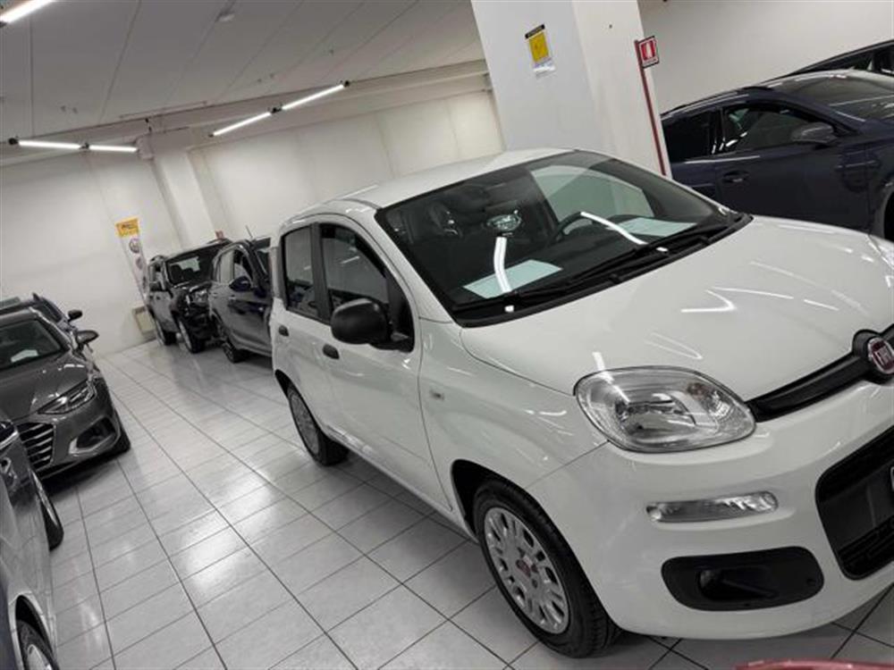 Panda Panda 1.2 Easy