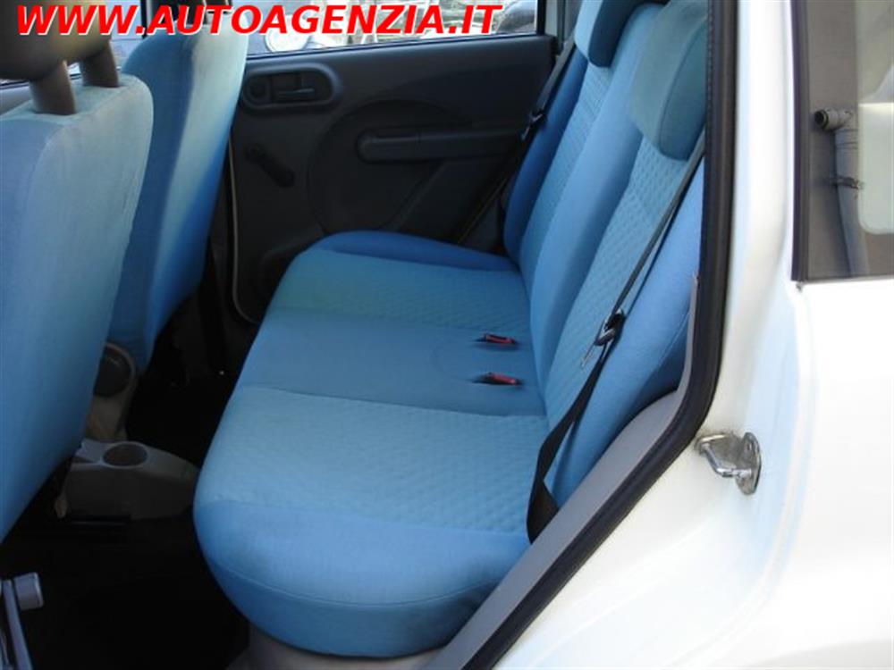 Panda   Panda 1.1 Active