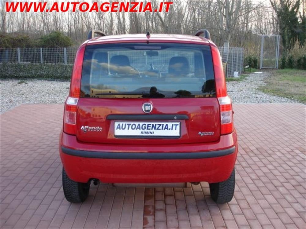 Panda   Panda 1.2 Dynamic Natural