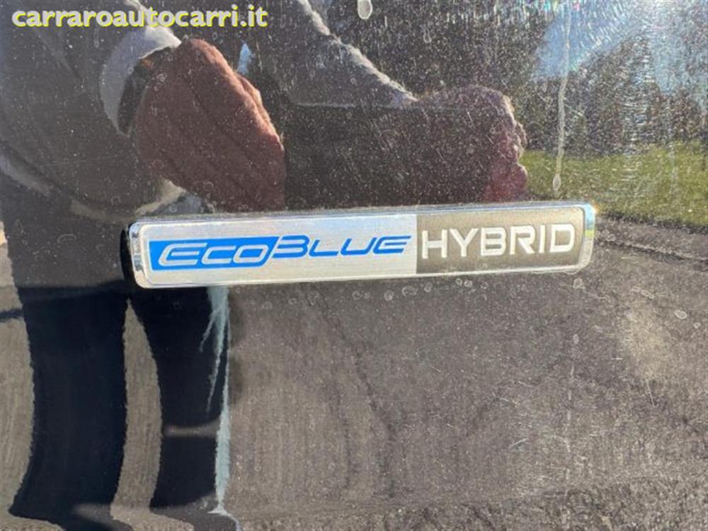 Tourneo Custom Tourneo Custom 320 2.0 EcoBlue 130C