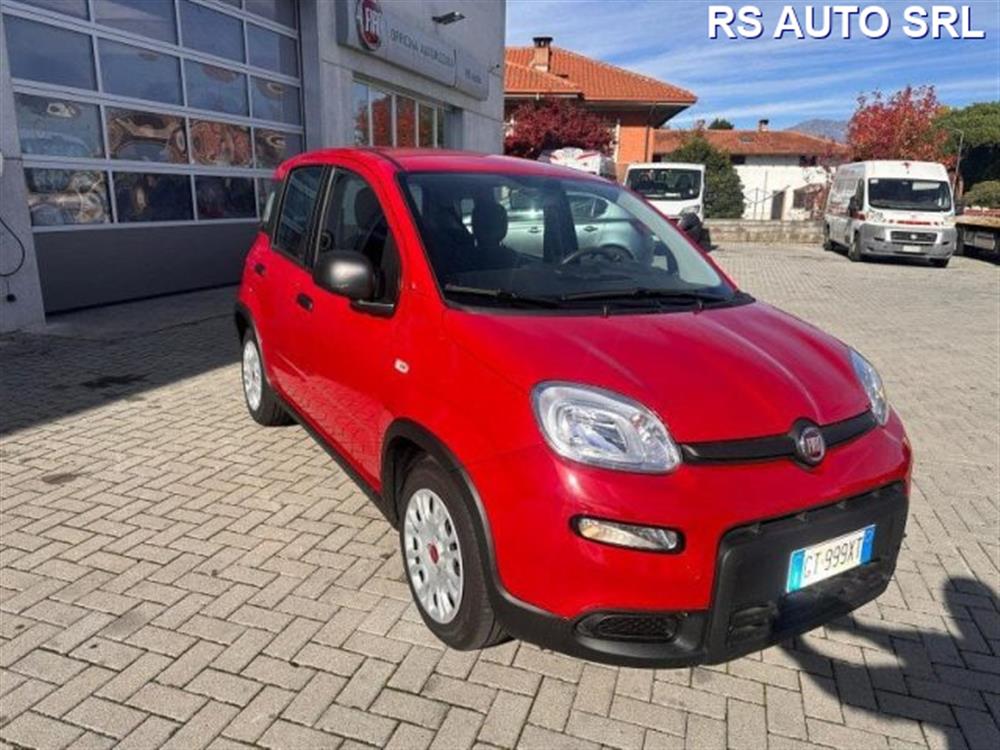 Panda Panda Panda 1.0 FireFly S&