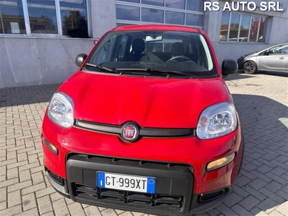 Panda Panda Panda 1.0 FireFly S&