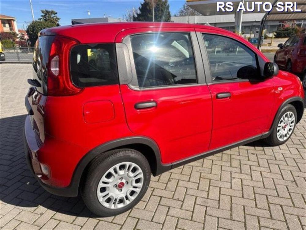 Panda Panda Panda 1.0 FireFly S&