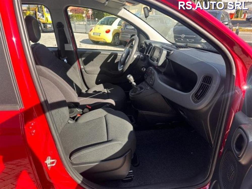 Panda Panda Panda 1.0 FireFly S&