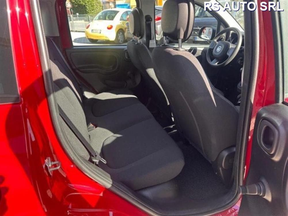 Panda Panda Panda 1.0 FireFly S&