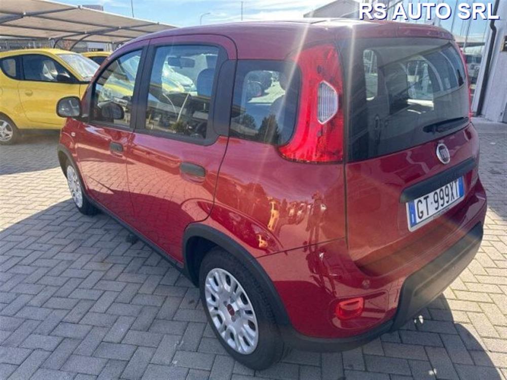 Panda Panda Panda 1.0 FireFly S&