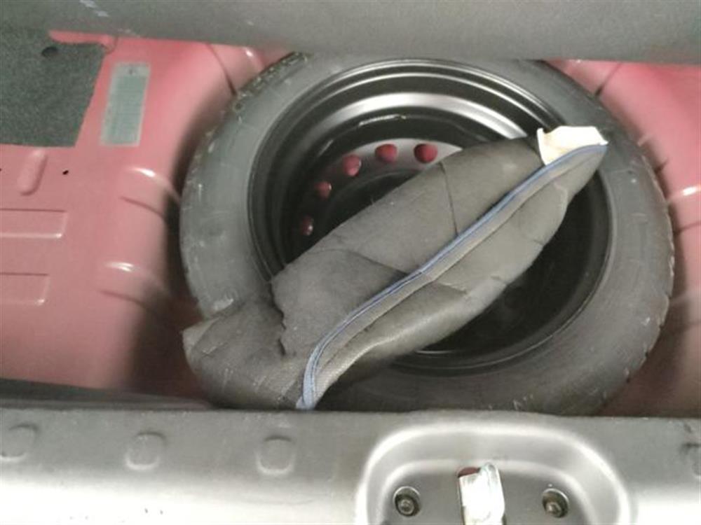 Panda Cross Panda Cross 1.0 FireFly S&S Hybr