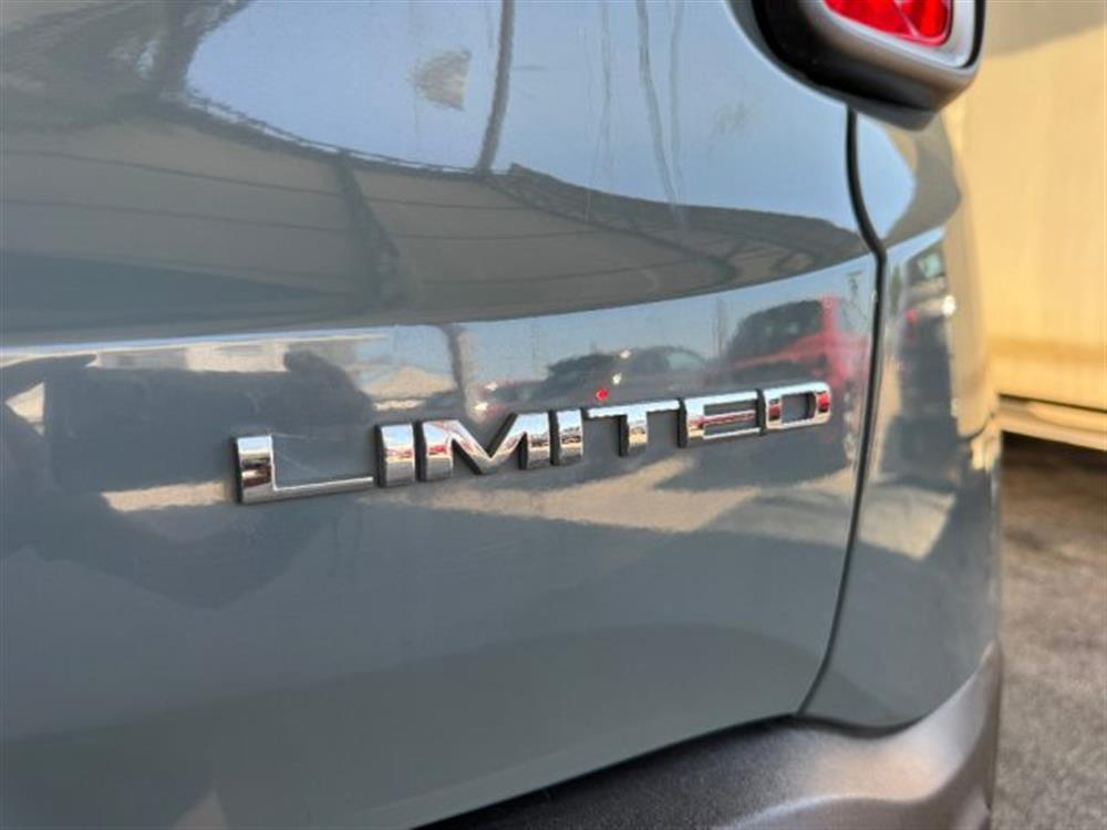 Renegade Renegade 1.6 Mjt 120 CV Limit