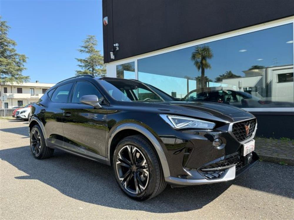 Formentor Formentor 2.0 TDI 4Drive DSG L