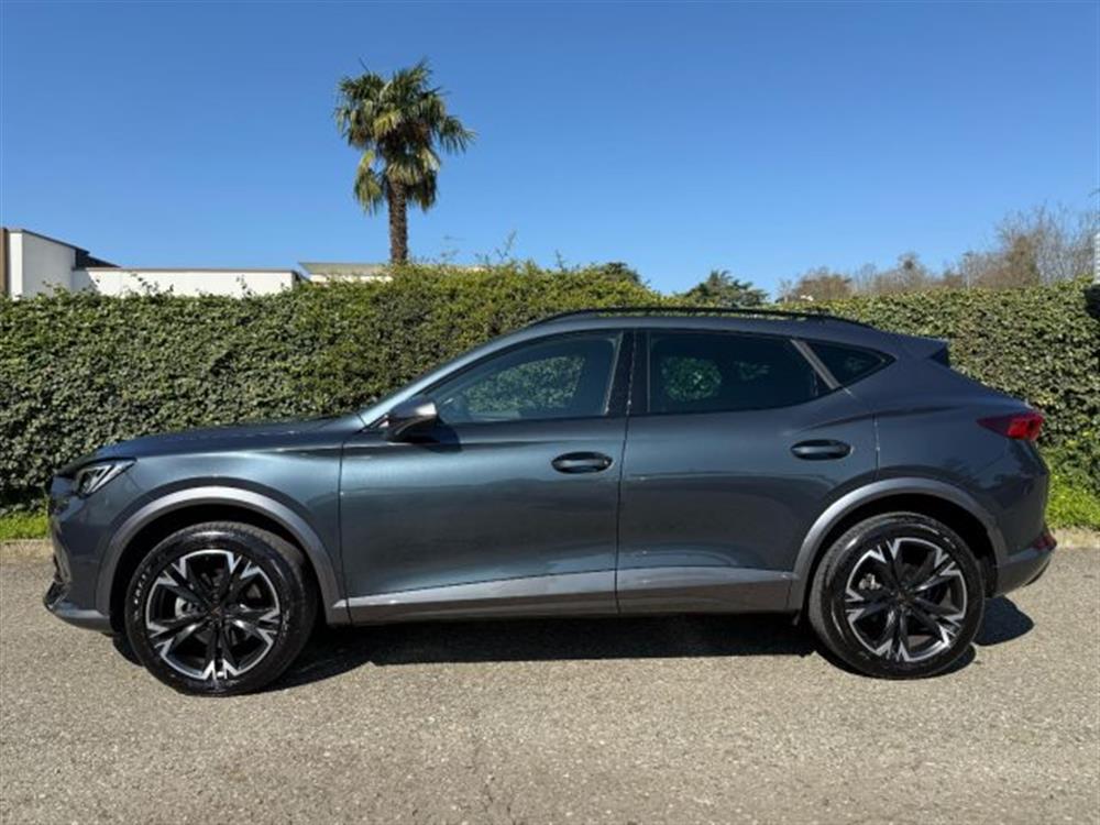 Formentor Formentor 2.0 TDI 4Drive DSG L