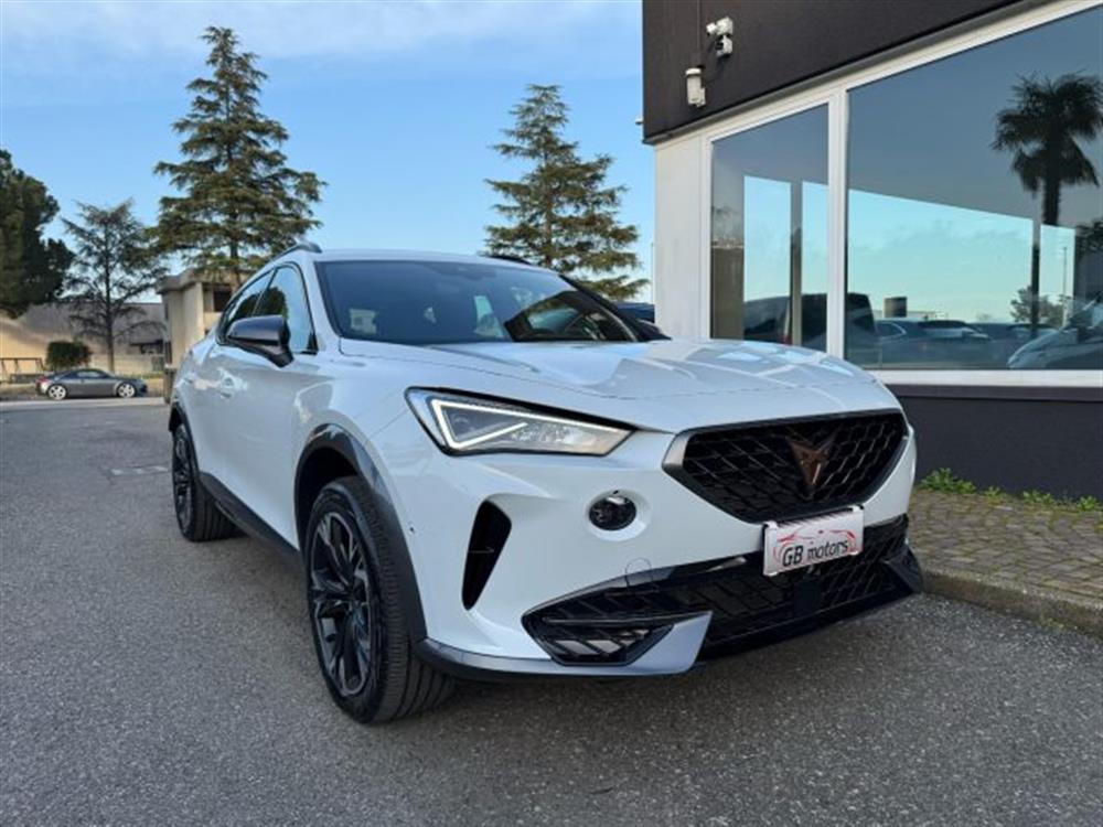 Formentor Formentor 2.0 TDI 4Drive DSG L