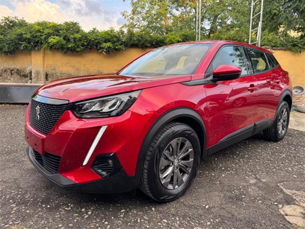 2008 2008 IN PROMO!!!!!? 12.99