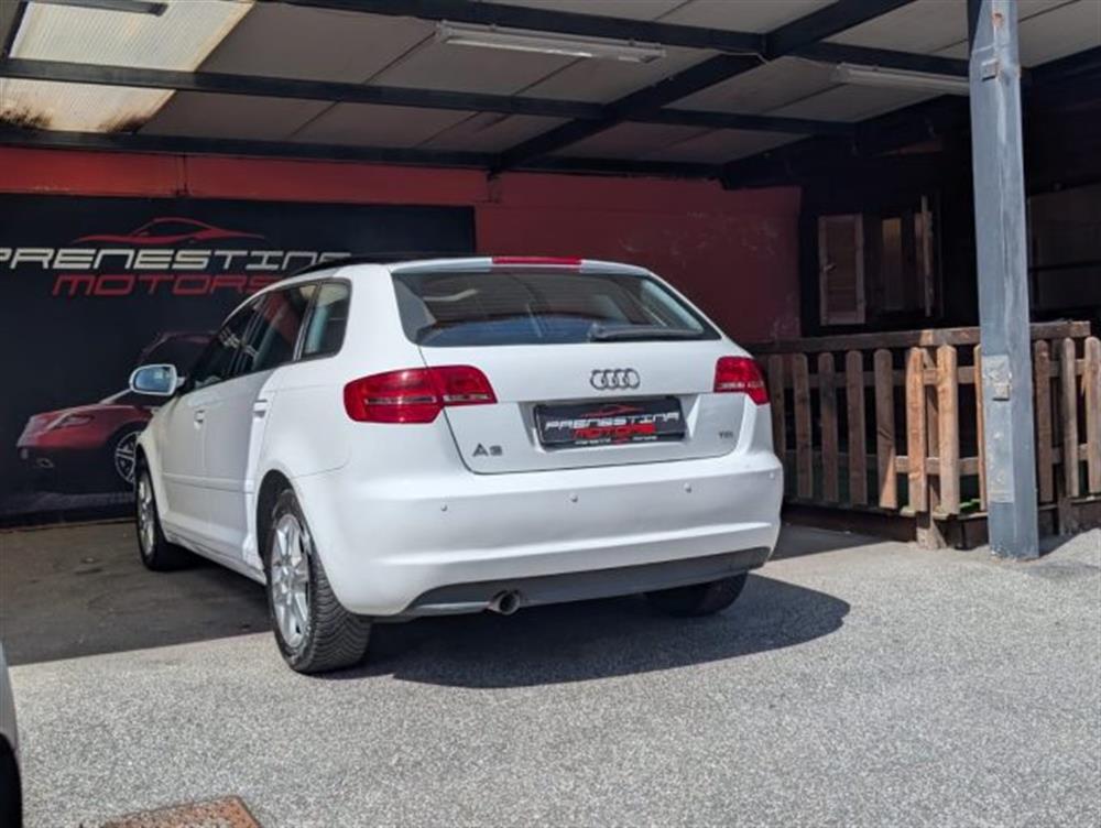 A3 A3 SPB 1.6 TDI 105 CV C