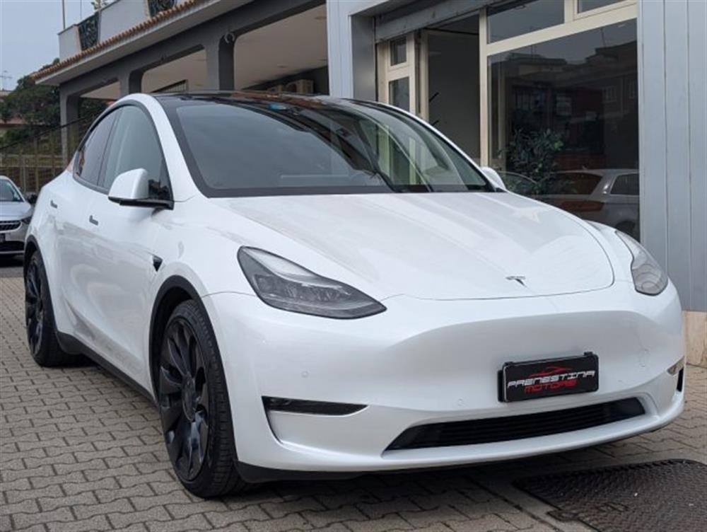 Model Y Model Y Performance AWD