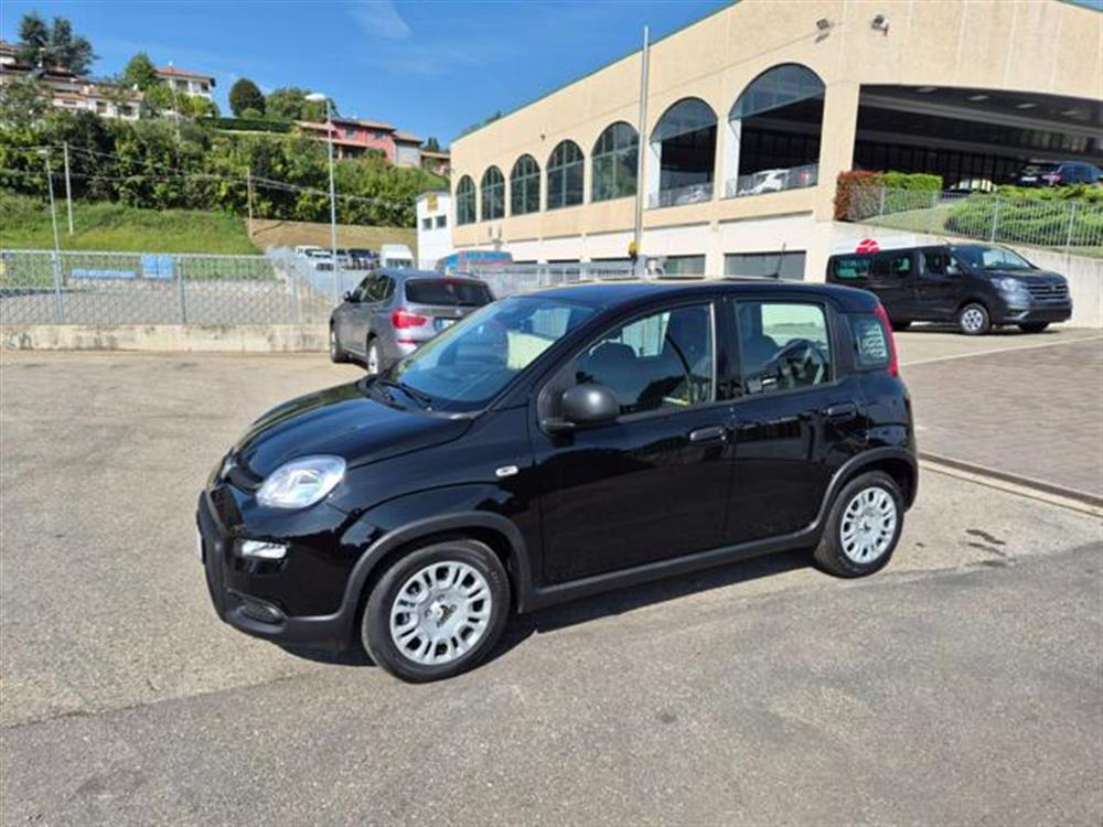 Panda Panda 1.0 FireFly S&S Hybr