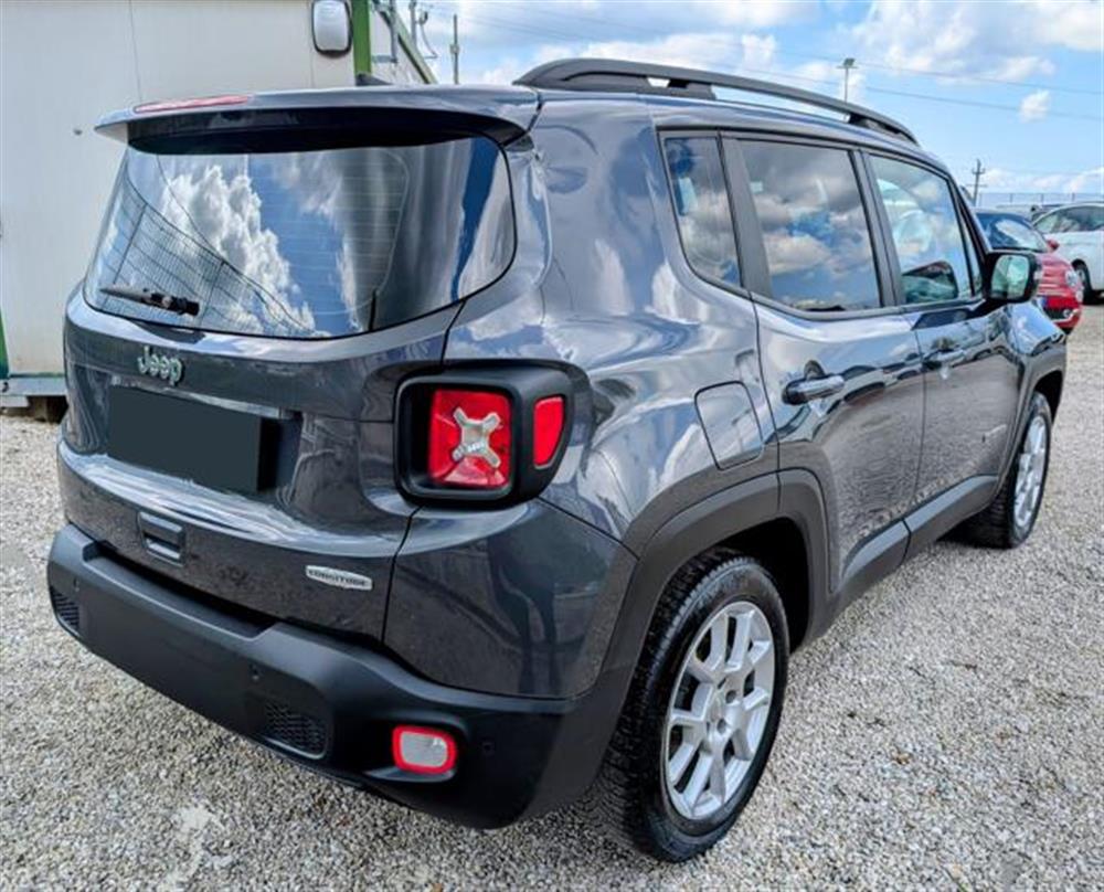 Renegade Renegade 1.6 Mjt 130 CV Busin