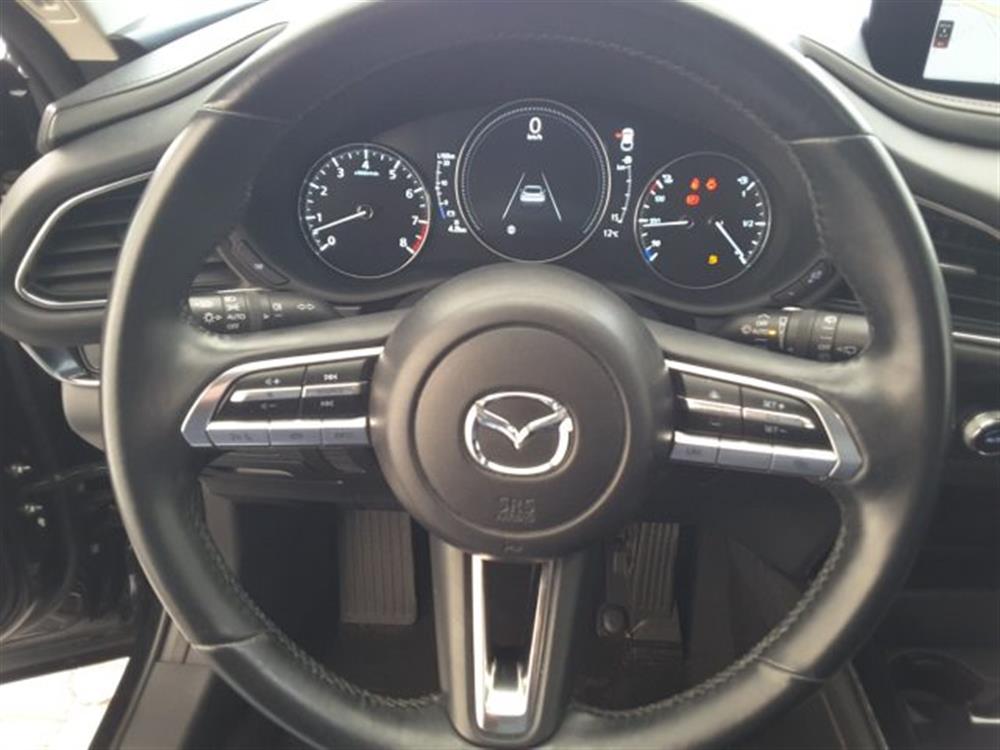 CX-30 CX-30 2.0L e-Skyactiv-G 12