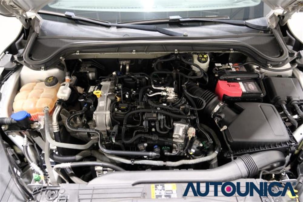 Focus Focus 1.0 ECOBOOST 125 CV