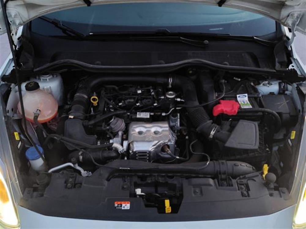 Fiesta Fiesta 1.0 Ecoboost 100 CV