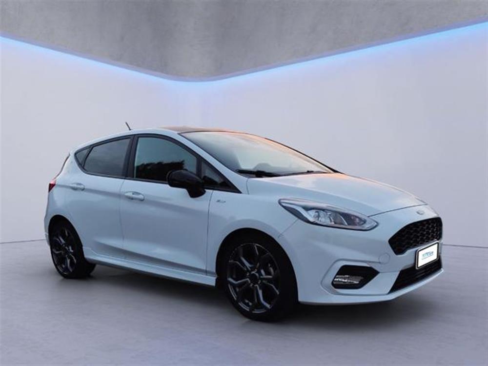 Fiesta Fiesta 1.0 Ecoboost 100 CV