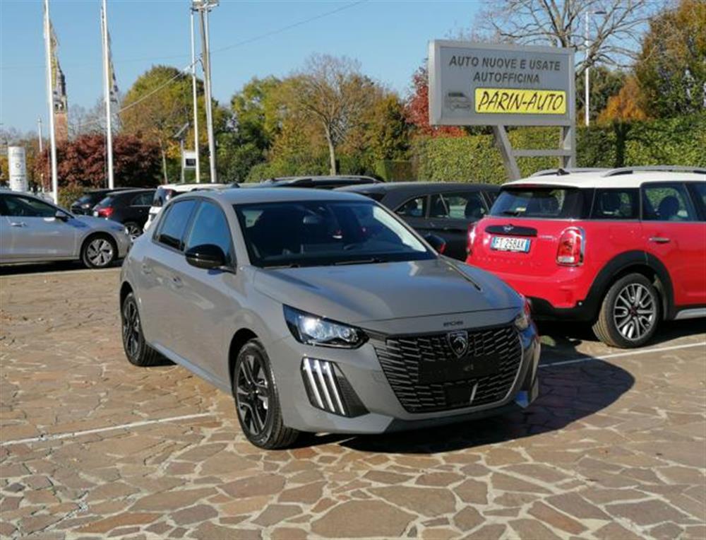 208 208 Hybrid 110 CV e-DCS6