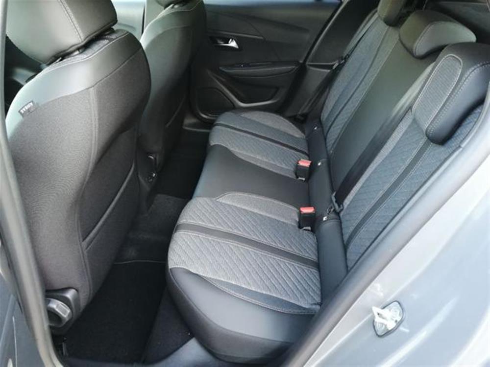 208 208 Hybrid 110 CV e-DCS6