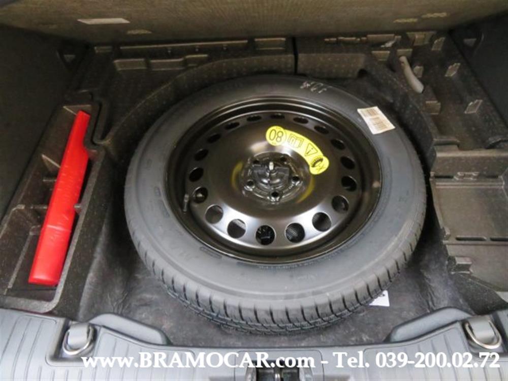 Kuga Kuga 2.0 ECOBLUE 120cv AU