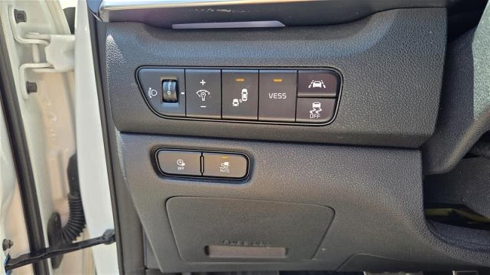 Niro Niro e-Niro 64 kWh Evolut