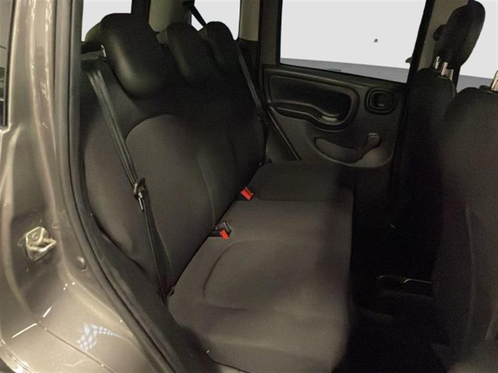 Panda Cross Panda Cross 1.0 FireFly S&S Hybr