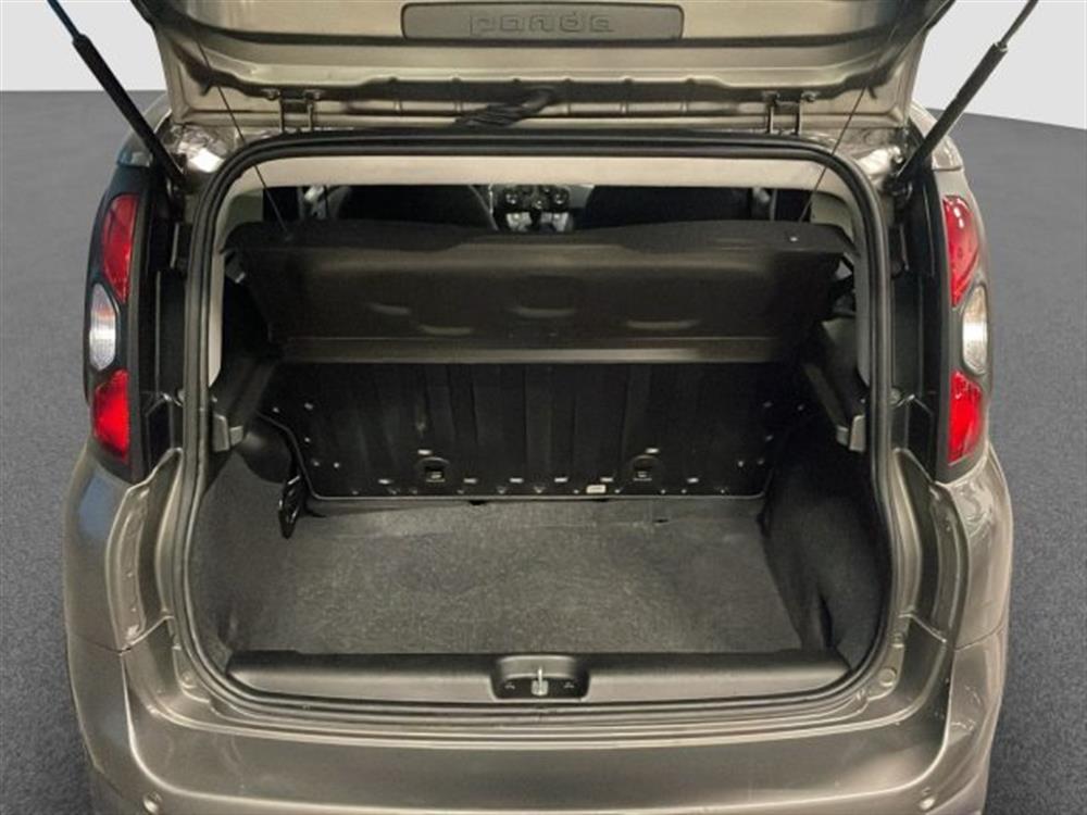 Panda Cross Panda Cross 1.0 FireFly S&S Hybr