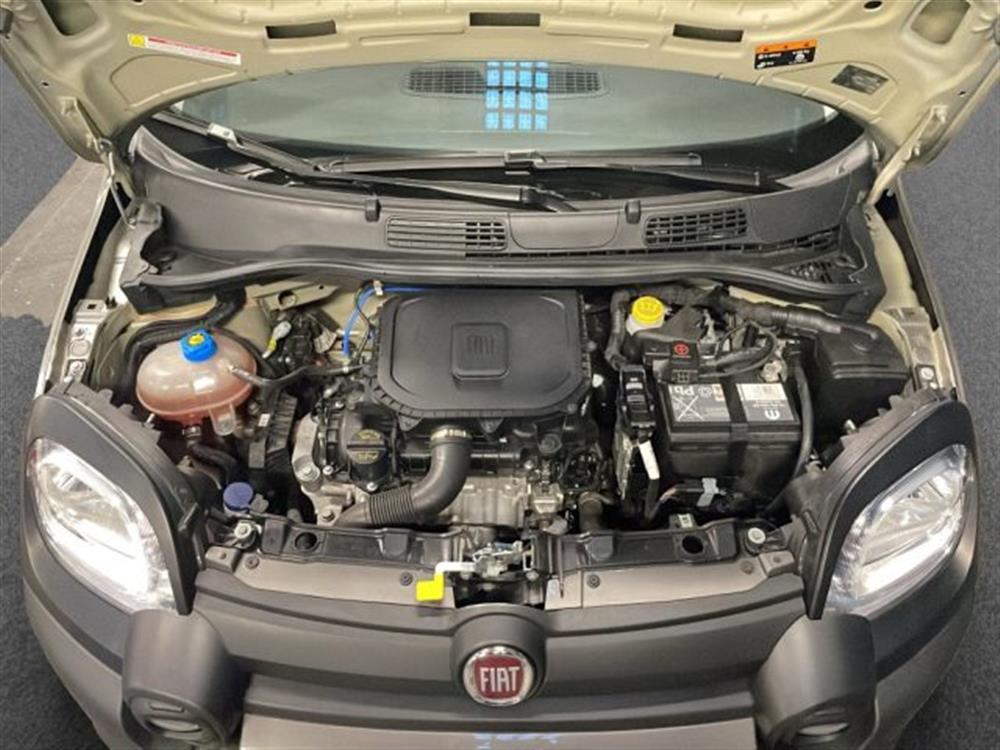 Panda Cross Panda Cross 1.0 FireFly S&S Hybr