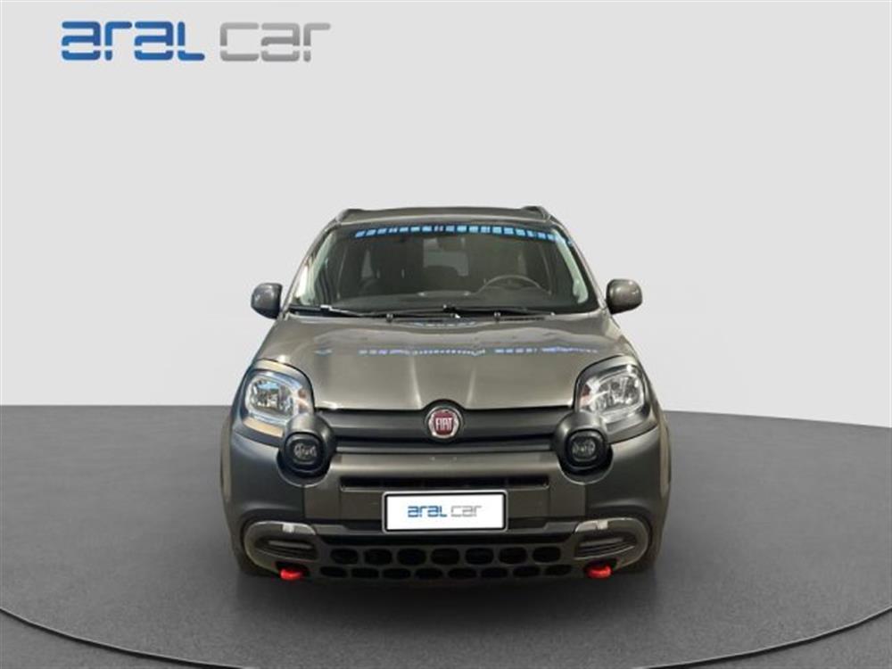 Panda Cross Panda Cross 1.0 FireFly S&S Hybr