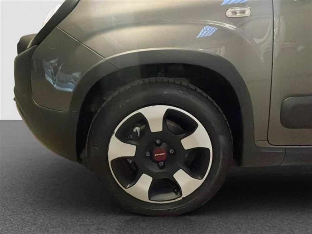 Panda Cross Panda Cross 1.0 FireFly S&S Hybr