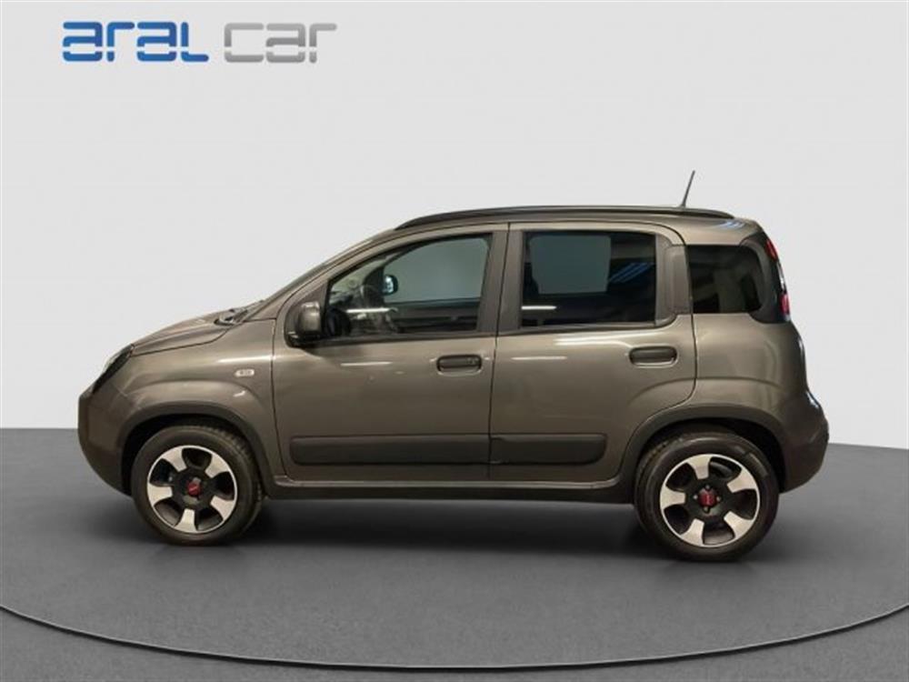 Panda Cross Panda Cross 1.0 FireFly S&S Hybr