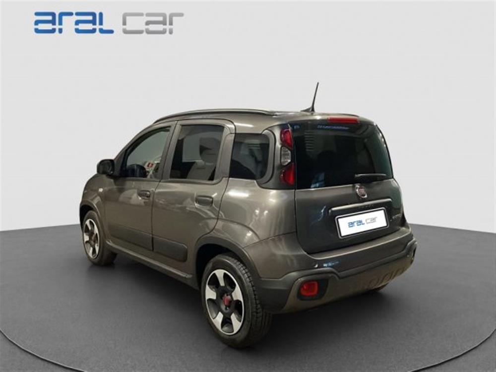 Panda Cross Panda Cross 1.0 FireFly S&S Hybr